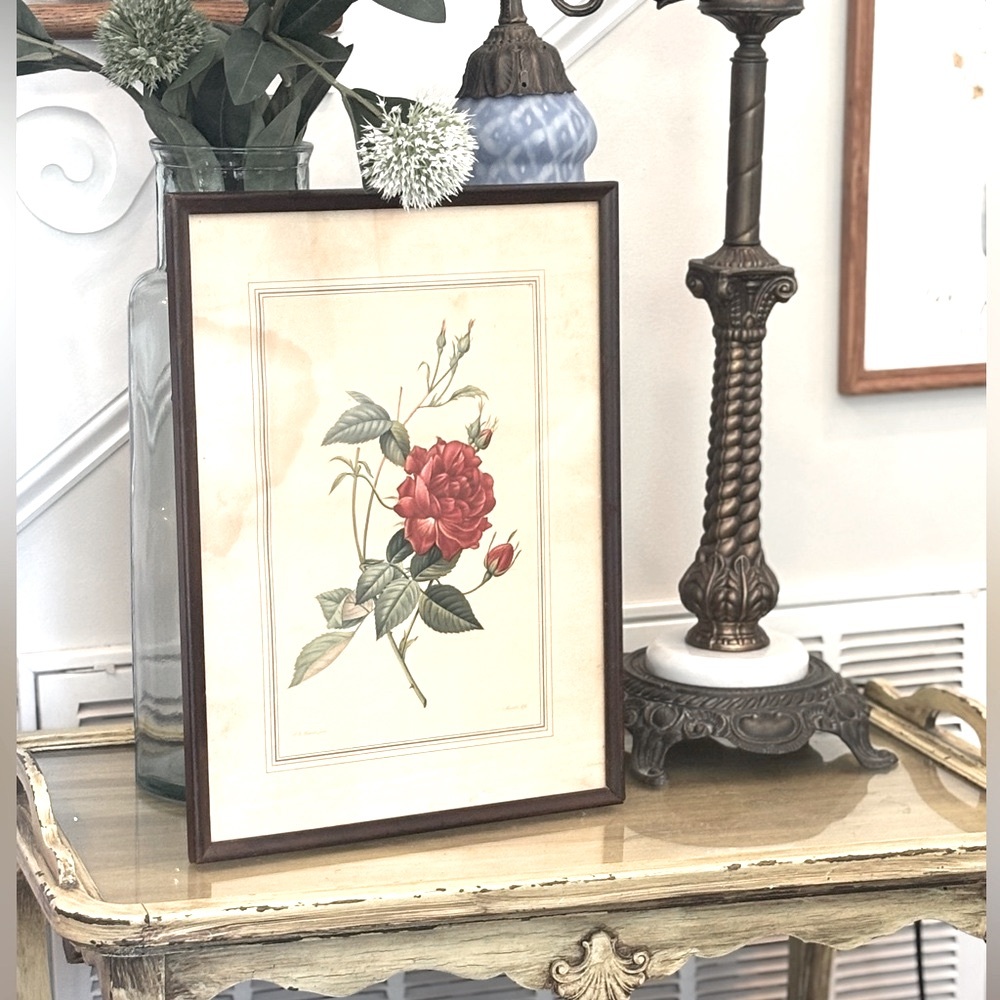 Vintage Framed Botanical Rose Print | 12.5”x 16.5”. Authentic 1920s Lithograph
